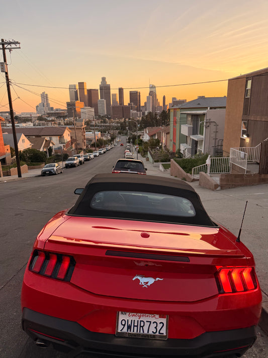 LA Skyline Cruise