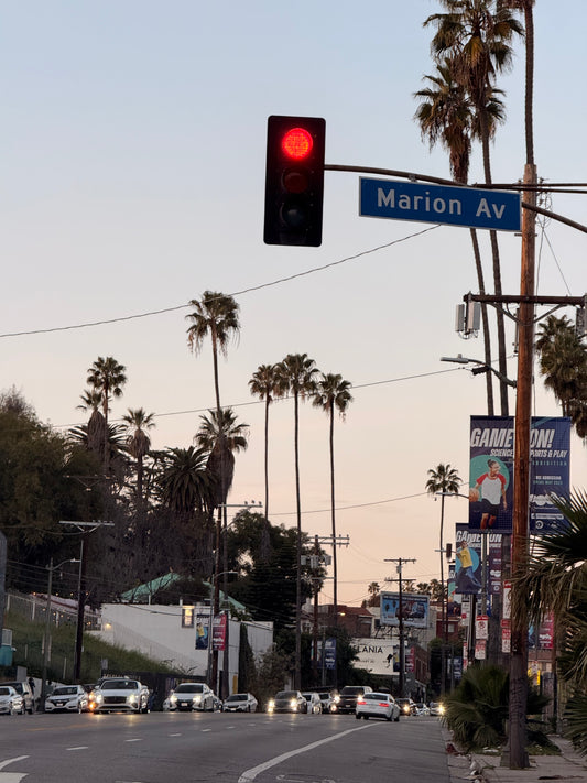 Phone Wallpaper – Marion Ave, Los Angeles