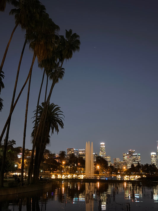LA Skyline After Dark – Phone Wallpaper